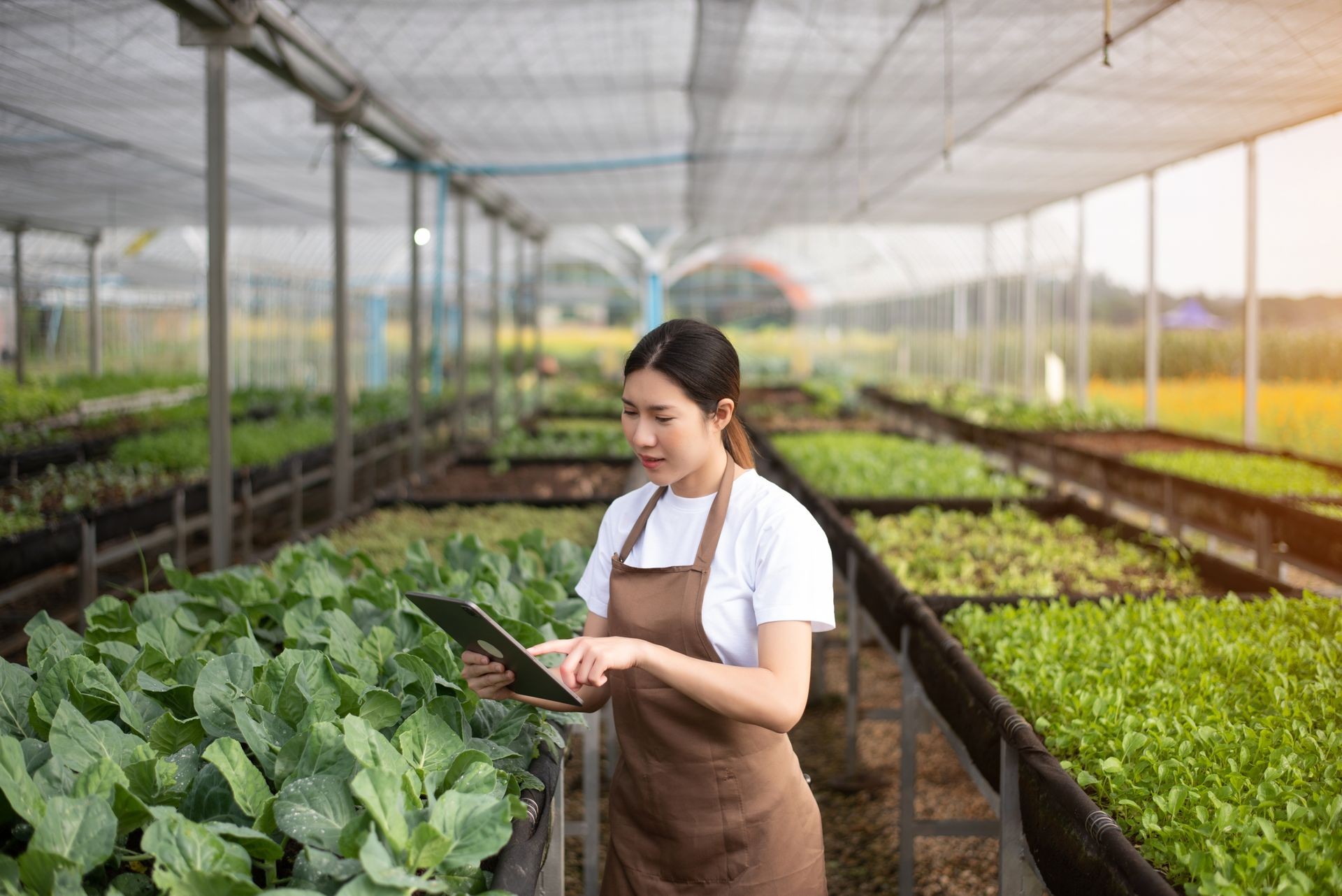 IOT Greenhouse